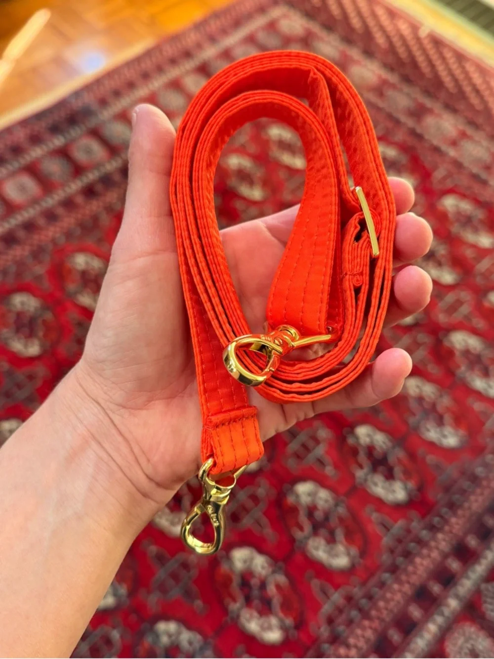 Disney Epcot Lug Orange Bird Crossbody Water Bottle Pouch - Picture 7 of 12